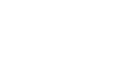 linearray maxum